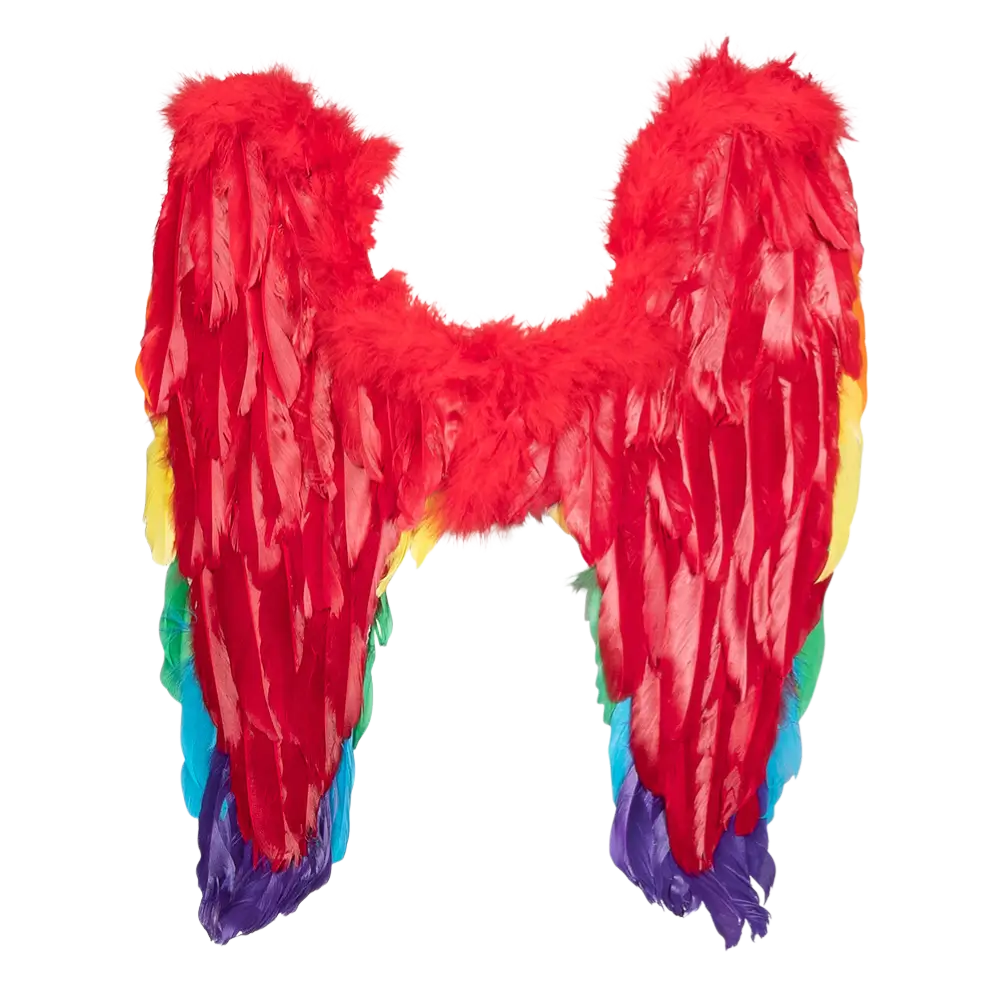 Engelenvleugels Goddelijke regenboog 50x50cm