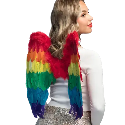 Engelenvleugels Goddelijke regenboog 50x50cm