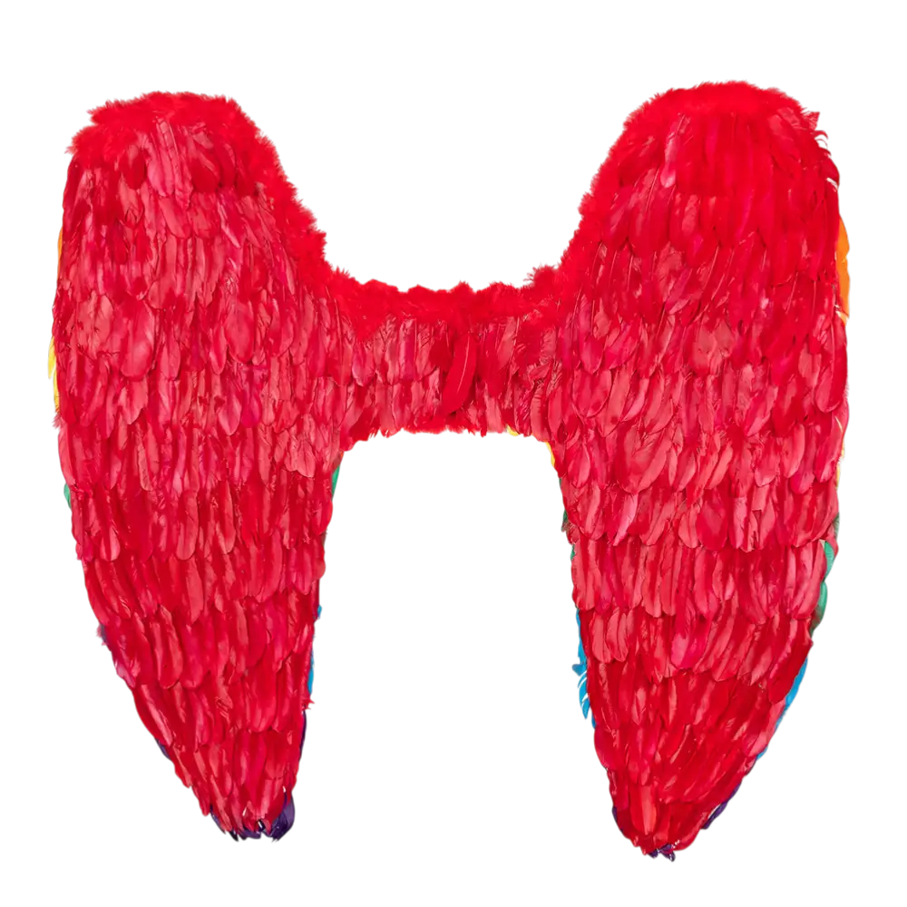 Engelenvleugels Celina regenboog 120x120cm