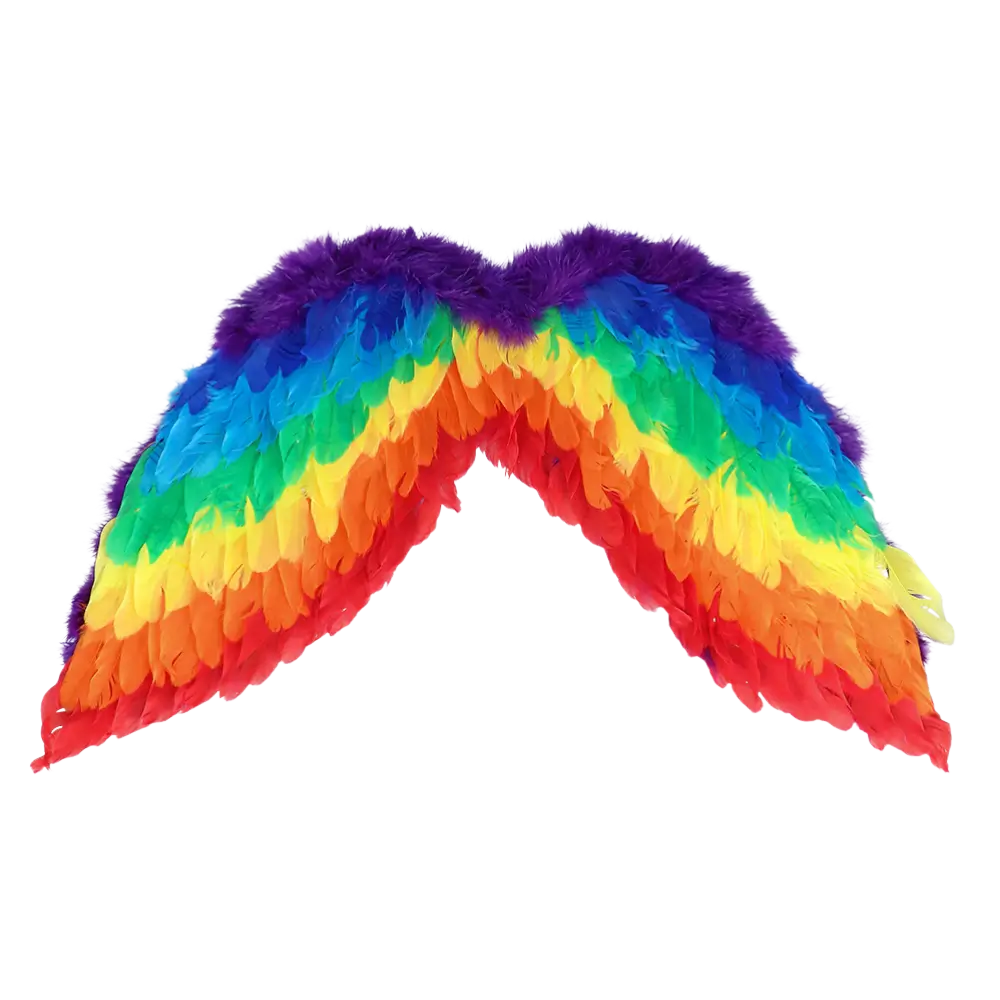 Regenboog engel set