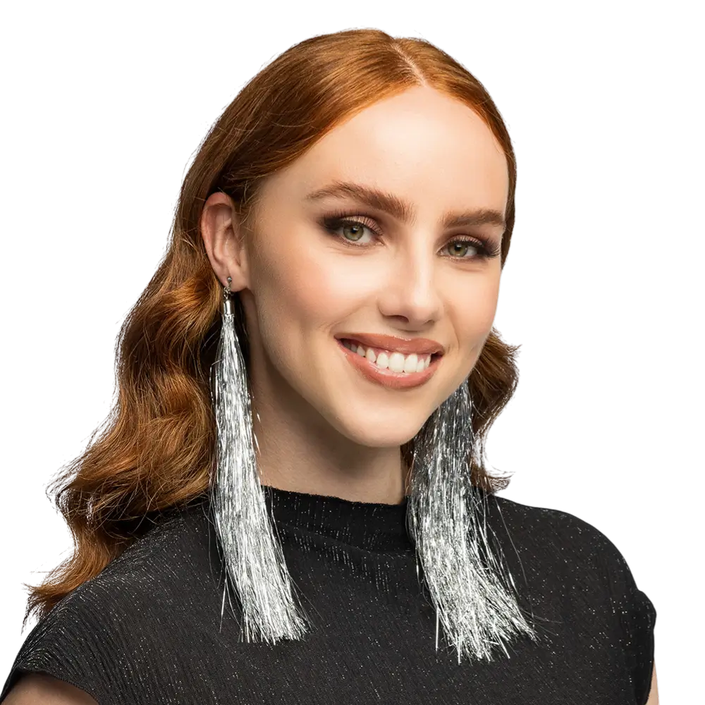 Paar zilveren oorbellen