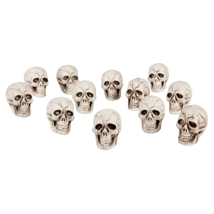 Set van 12 schedels