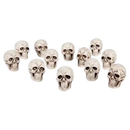 Set van 12 schedels