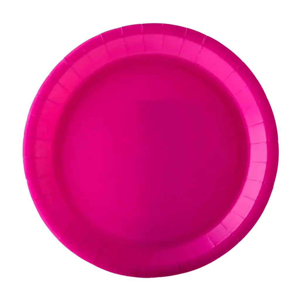Ronde Kartonnen Borden 18 cm Fuchsia – Feestservies