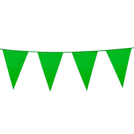 Groene wimpelslinger - Nature Jungle verjaardagsdecoratie