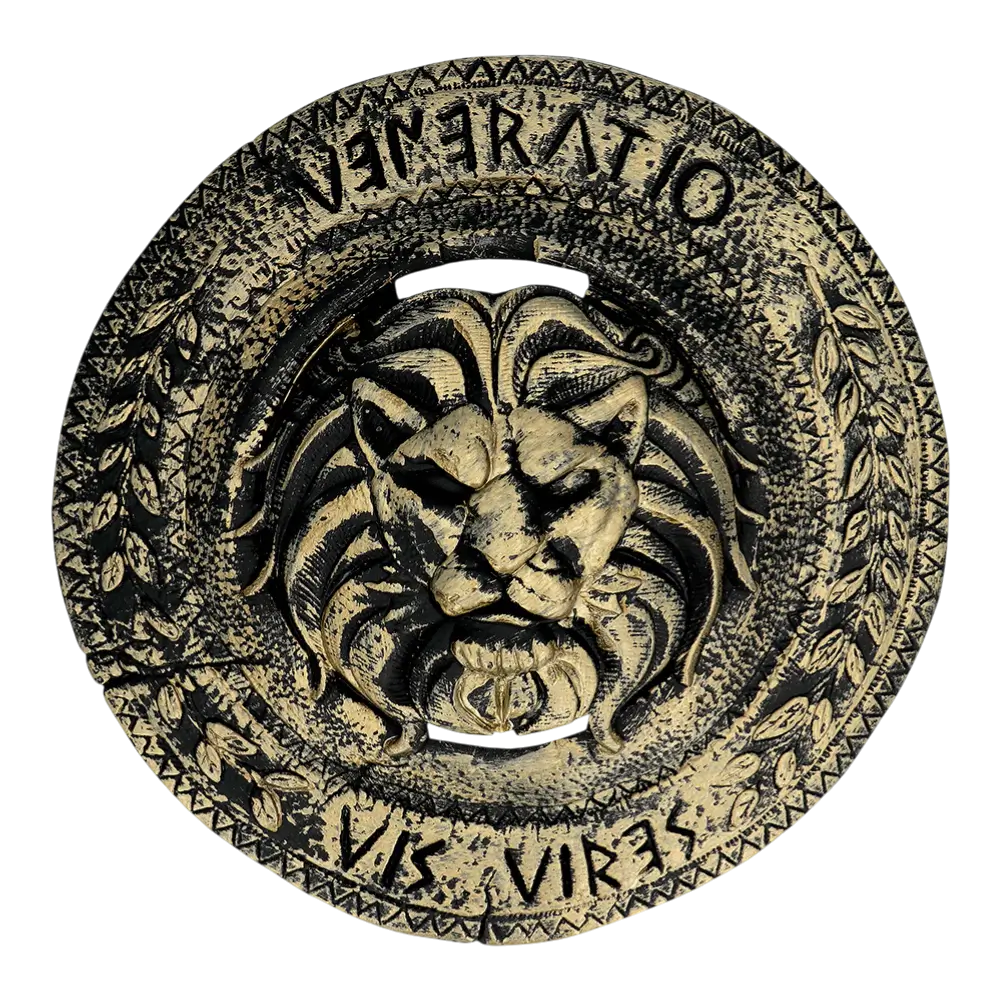 Ridderkoffer voor kinderen - Accessoires voor verkleedkleren voor jongens