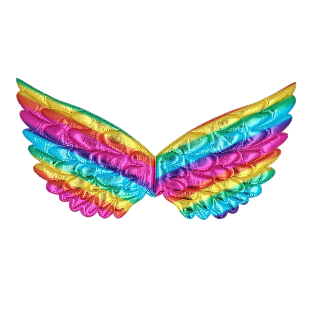 Kinder Regenboog Eenhoorn Set - Fee Fantasie Vermomming Accessoires