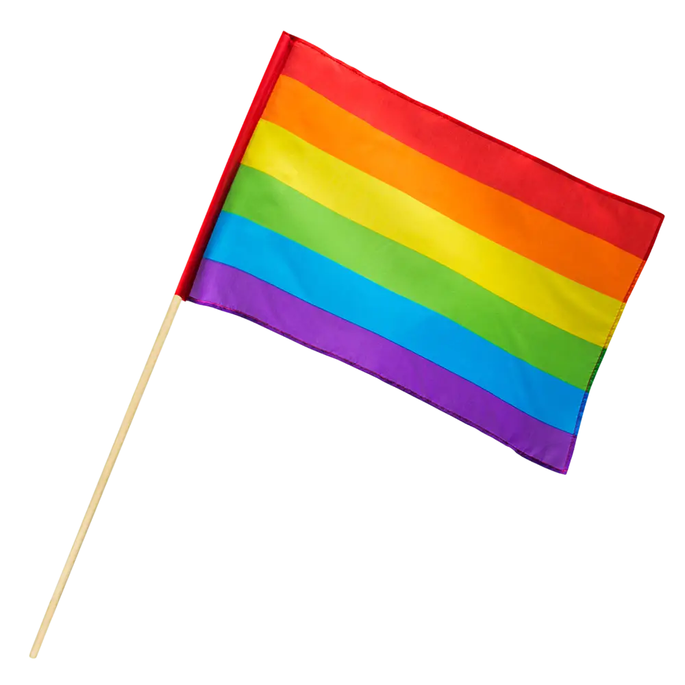 Regenboog polyester handvlag