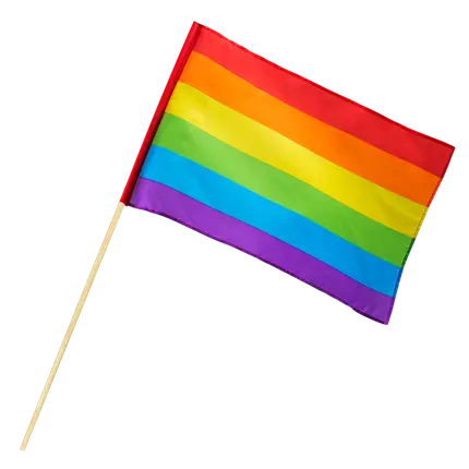 Regenboog polyester handvlag