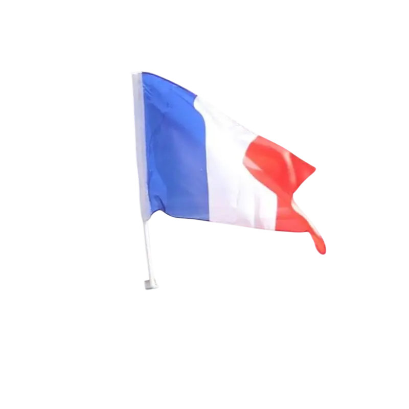 FRANKRIJK polyester auto vlag met stok 45 x 30 cm