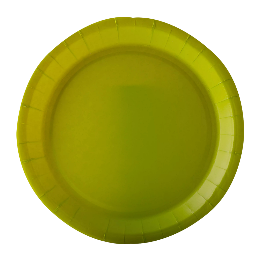 10 ronde papieren bordjes Lichtgroen - 22 cm