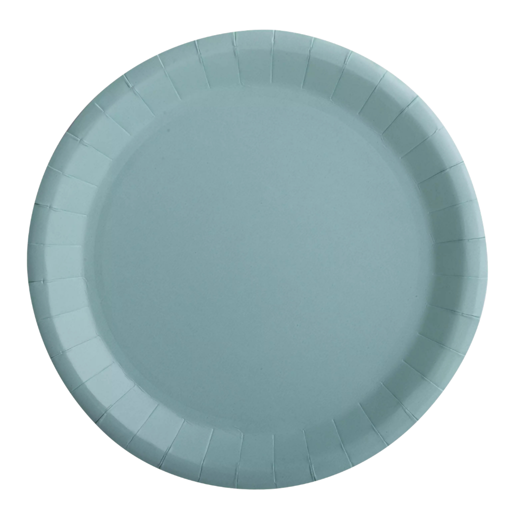 10 ronde papieren borden water groen - 22 cm