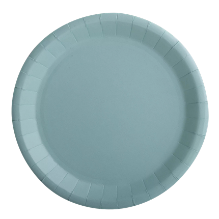 10 ronde papieren borden water groen - 22 cm
