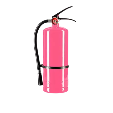 Holi Rose-poederbrandblusser - 5 kg