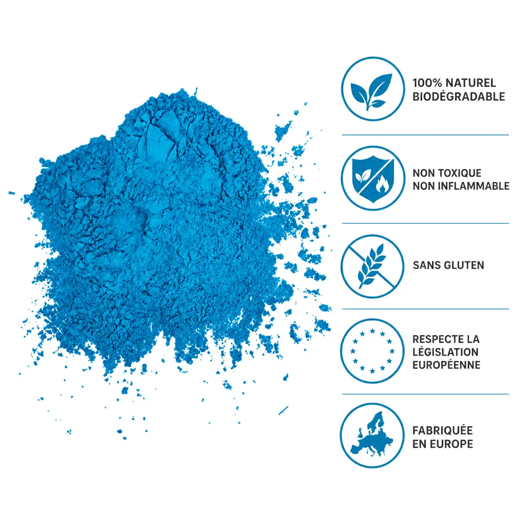 Holi Blauwe poederbrandblusser - 5 kg