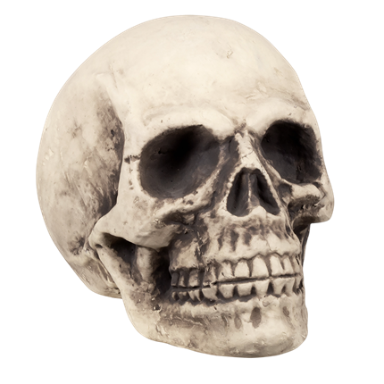 Reusachtig doodshoofd 27 x 27 x 38 cm – Halloween-decoratie