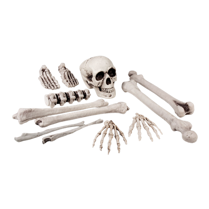 Set van 12 doodskoppen en botten, 23 cm – Halloween-decoratie