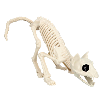 Kattenskelet 49 x 18 x 14 cm – Halloween-decoratie