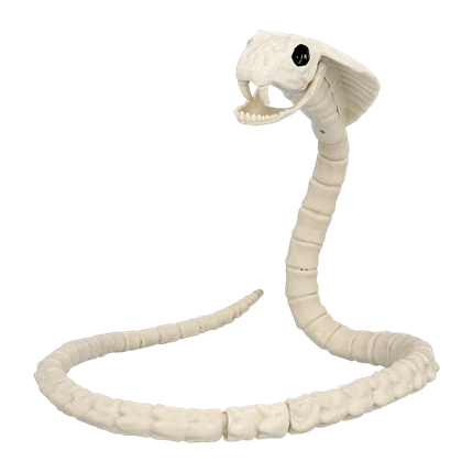 Slangenskelet 102 cm – Halloween-decoratie