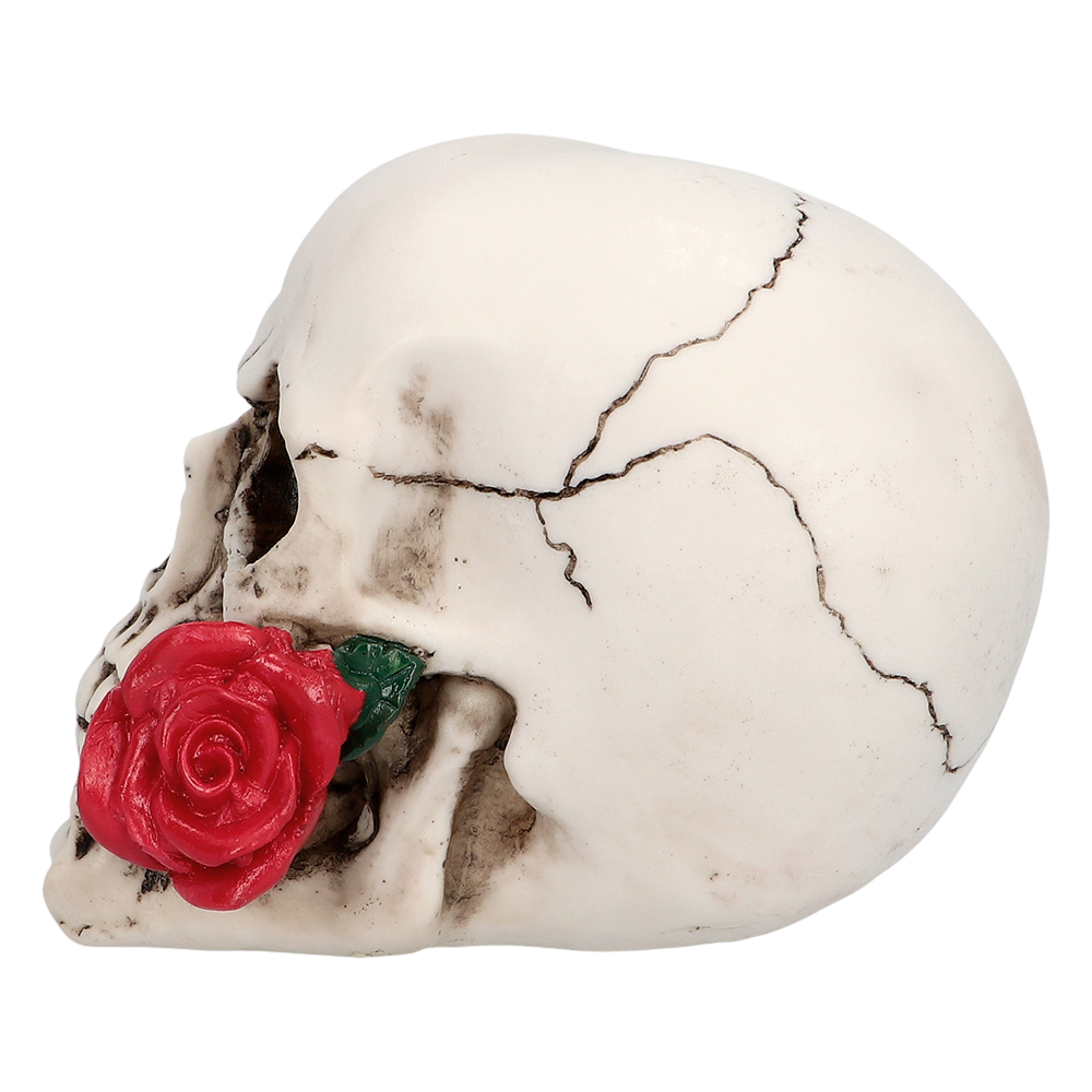 Doodskop met bloem 10 x 10,5 x 13 cm – Halloween-decoratie
