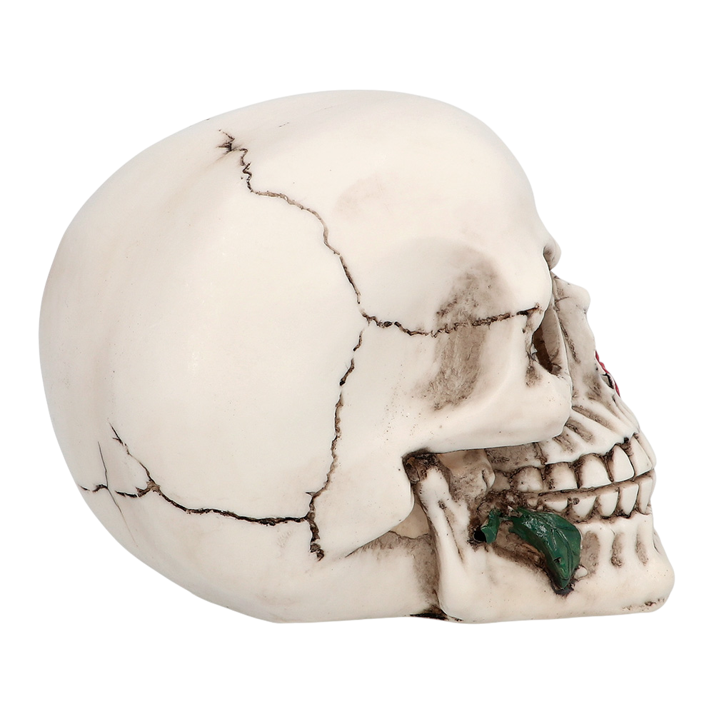 Doodskop met bloem 10 x 10,5 x 13 cm – Halloween-decoratie