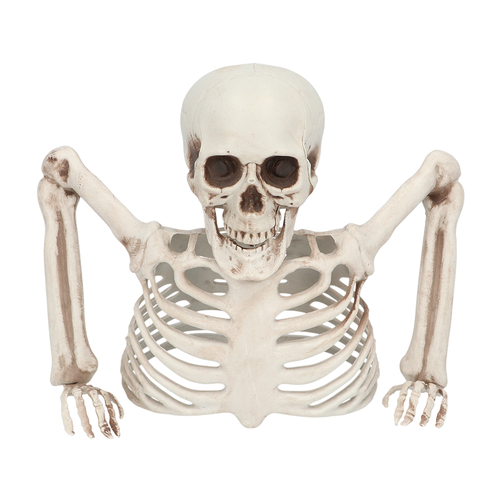 Skelet dat 20 cm uit de grond steekt – Halloween-decoratie
