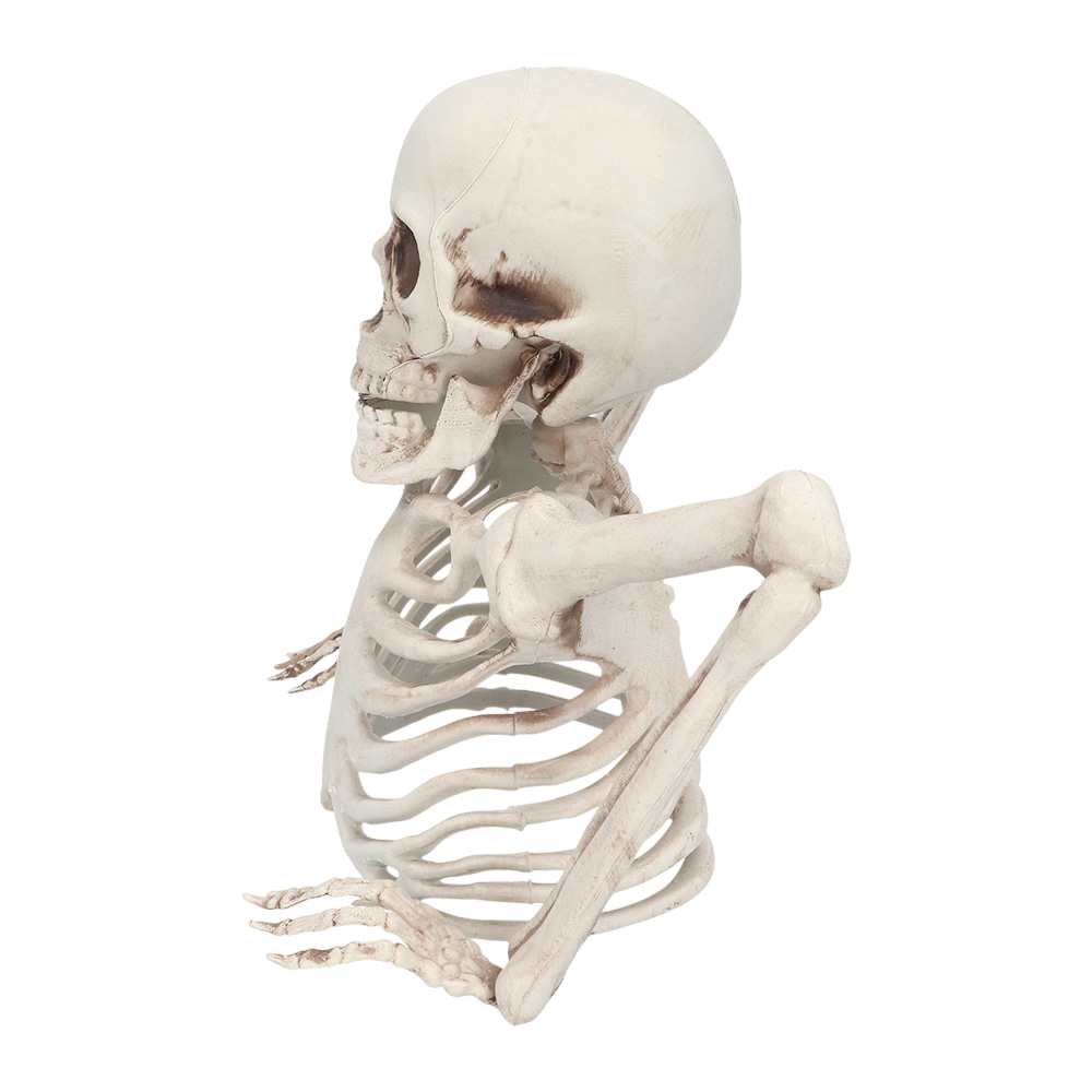 Skelet dat 20 cm uit de grond steekt – Halloween-decoratie