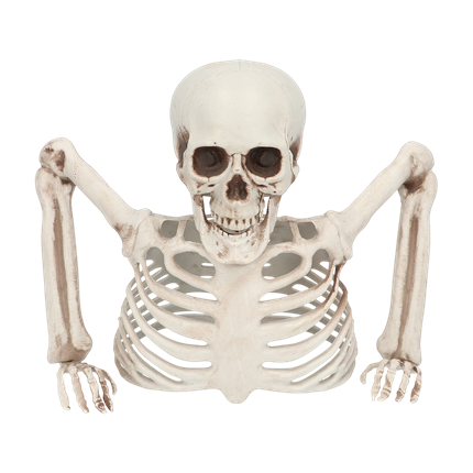 Skelet dat 20 cm uit de grond steekt – Halloween-decoratie