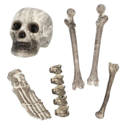 Set van 6 doodskoppen en botten – Halloween-decoratie