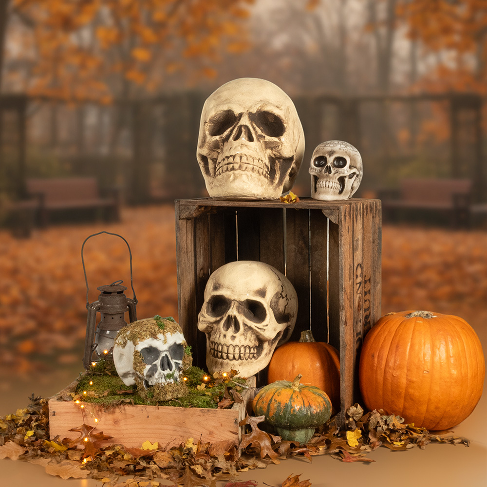 Decoratieve doodskop 15 x 20 x 16 cm – Halloween