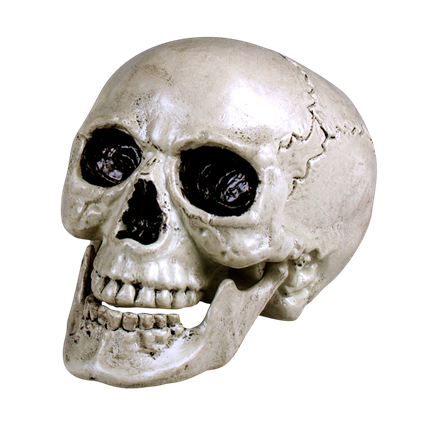 Witte doodskop met beweegbare kaak, 24 cm – Halloween-decoratie