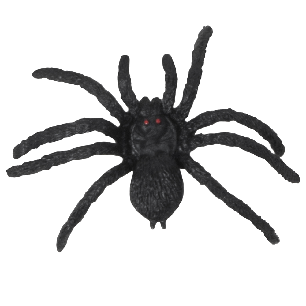 Set van 12 spinnen, 5 x 6 cm – Halloween-decoratie