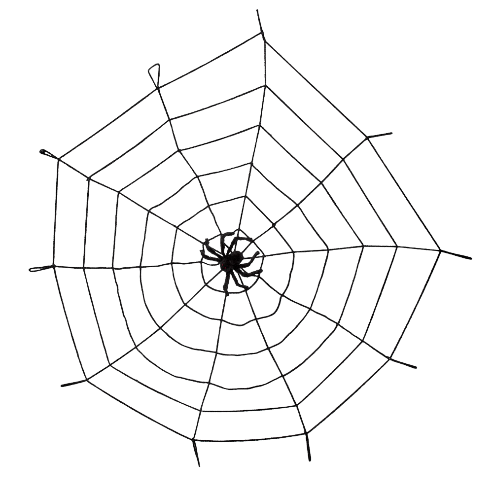 Elastisch spinnenweb van 150 cm met spin – Halloween