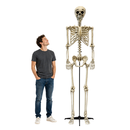 Reusachtig skelet van 240 cm – Halloween-decoratie