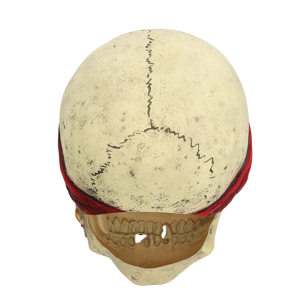 Latex piratenmasker – Halloween-kostuum