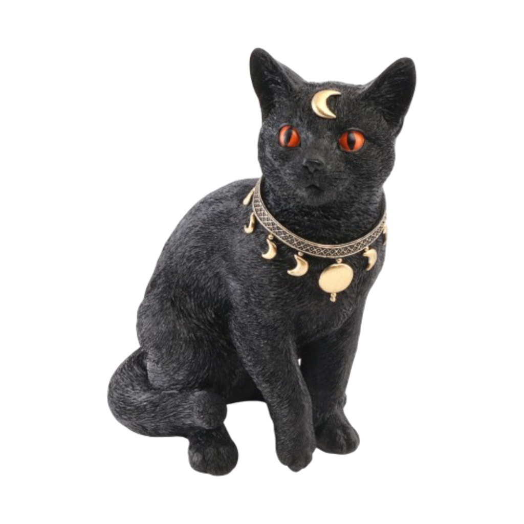 Mystieke zwarte kat 28 cm – Halloween-decoratie