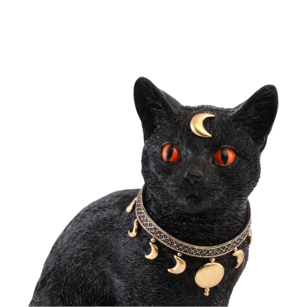 Mystieke zwarte kat 28 cm – Halloween-decoratie
