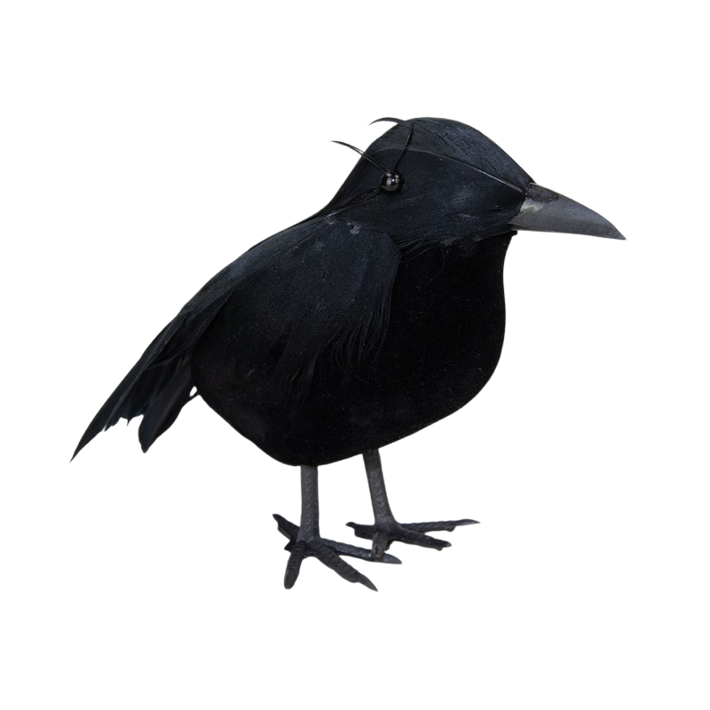 Decoratieve raaf – Halloween-decoratie