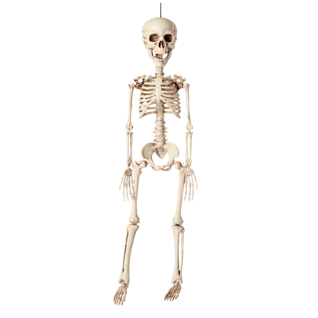 Hangend skelet 40 cm – Halloween-decoratie