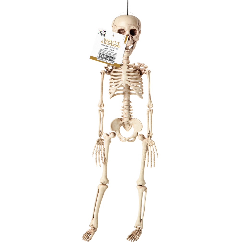 Hangend skelet 40 cm – Halloween-decoratie